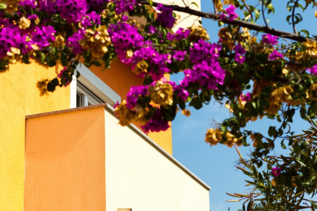 Apartments Villa Orange Zadar Zewnętrze zdjęcie